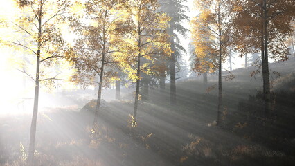 Golden leaves whisper in a gentle breeze as sunlight breaks through the trees. The forest glows softly, welcoming tranquility and peace in this enchanting landscape.