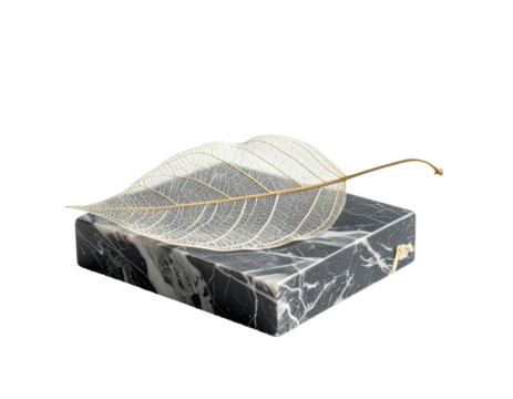 A delicate, translucent leaf rests on a square of dark, marbled stone against a stark black backdrop