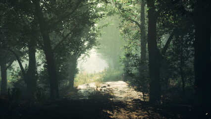 Obraz premium Soft sunlight filters through the lush green leaves in a serene forest. A gentle pathway invites exploration, creating a peaceful atmosphere. Nature thrives in this tranquil setting.