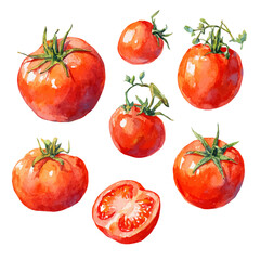 Tomato Set, watercolor clipart vector, isolated on a white background.
