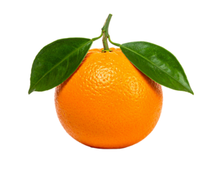 naranja primer plano