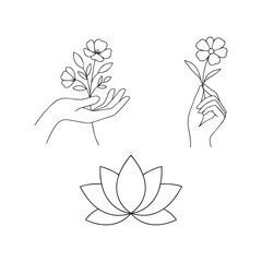 vector illustration of a lotus