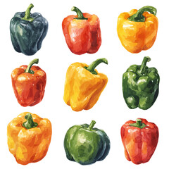 watercolor of Bell Pepper Set, vector, isolated on a white background.