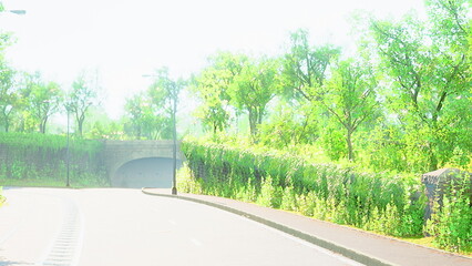 A tranquil scene unfolds with a winding road framed by vibrant trees and bright foliage. The sunlight filters through, creating a peaceful atmosphere perfect for a leisurely stroll.