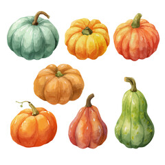 Pumpkin Set, watercolor vector, isolated on a white background.