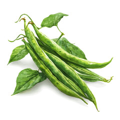 Green Beans, watercolor clipart vector, isolated on a white background.