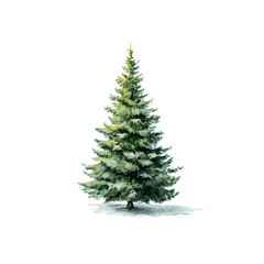 Christmas Tree, watercolor vector, isolated on a white background.