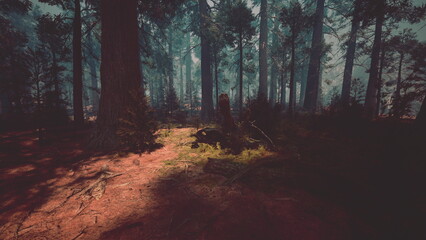 A serene forest landscape during dusk features towering trees and scattered shadows. Sunlight filters through branches, revealing hidden textures on the forest floor, creating a tranquil atmosphere.