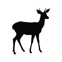 Elegant Black Silhouette of a Young Deer with Small Antlers Standing Proudly, deer looking back silhouette vector illustration