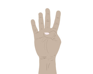 Obraz premium Illustration of a human hand making counting gestures with raised fingers, showing number four in a realistic drawing style on transparent background