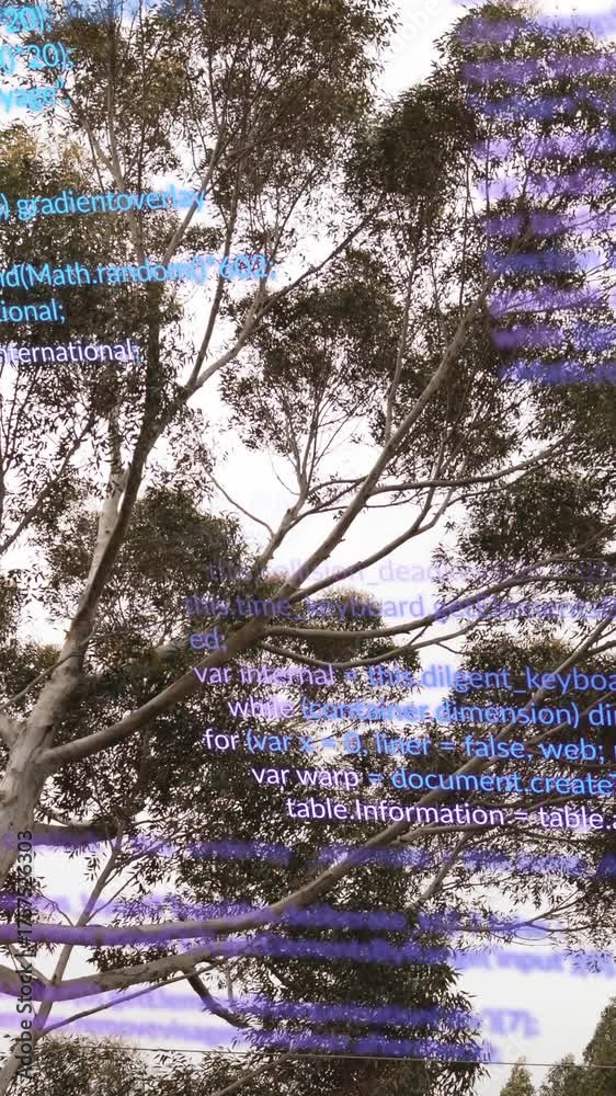Wall mural animation of data processing over low angle view of trees against clear sky