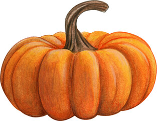 watercolor hand drawn realistic pumpkins and leaves