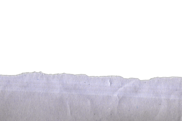 Closeup of a piece of empty gray paper with a rough, torn edge,  isolated white transparent background.