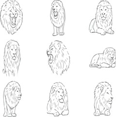 set of different types of animal,lion icon, lion head, lion face, roaring lion, lion silhouette, lion logo, lion profile, majestic lion, tribal lion, geometric lion, lion line art, fierce lion