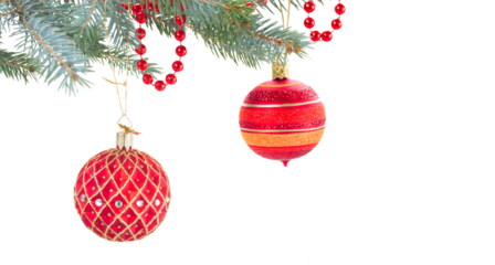 decorated evergreen fir tree close up