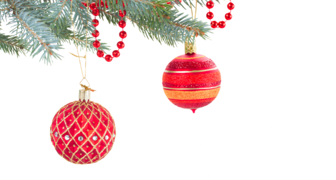 decorated evergreen fir tree close up