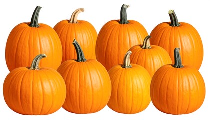 Obraz premium Group of pumpkins