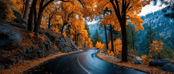 Winding mountain road surrounded by vibrant orange autumn trees with wet asphalt reflecting fall foliage under overcast sky