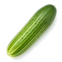 Green cucumber with light stripes and small bumps vegetable