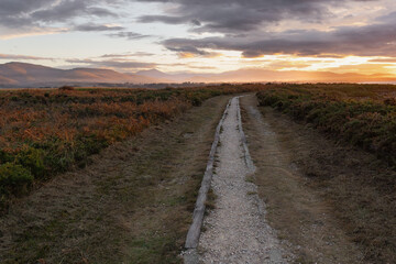Path under the evening light