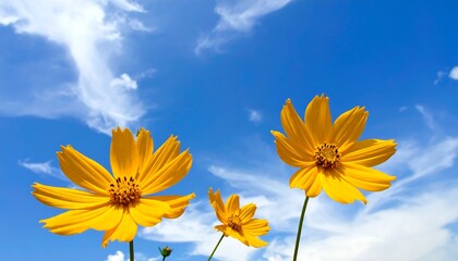 Bright yellow flowers against a vibrant blue sky with wispy clouds