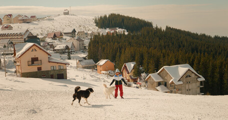 Caucasian woman training dogs comands while on vacation in the mounts. Woman walking her dogs on snowy day in resort are on vacation in the mounts.