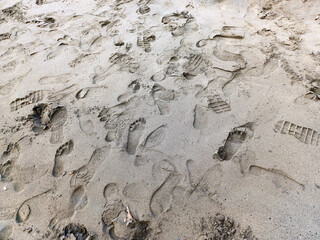 Close-up, high-angle view of multiple human footprints and shoe prints scattered on wet sand. Represents travel, destination, history, adventure, or human presence in nature.