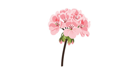 A delicate cluster of soft pink flowers with green stems and buds.