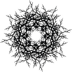 illustration of floral design elements