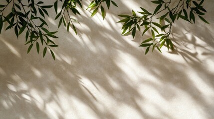 Obraz premium Bamboo leaves cast intricate shadows on an off-white wall, revealing delicate patterns enhanced by sunlight, creating a serene and organic atmosphere