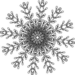 illustration of floral design elements