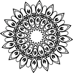 illustration of floral design elements