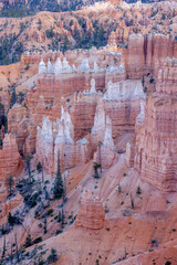 Canyon Trees and Rock Formations