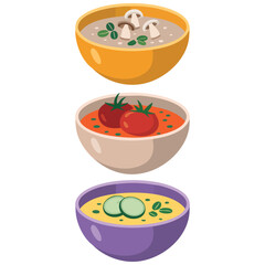 Various soup types in bowls collection vector