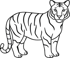 tiger outline vector and illustration line art