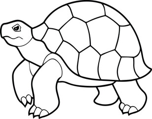 tortoise outline vector and illustration line art