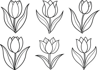 Collection of Tulip flower outline vector for coloring and design ©  Jaynab Banu