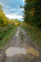 A vertical shot of a muddy, rutted forest road covered in puddles. The road is surrounded by trees with yellow-green autumn foliage, and a gray, cloudy sky hangs overhead.
