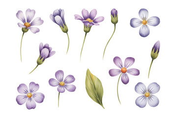 Lavender meadow blossoms with soft watercolor.