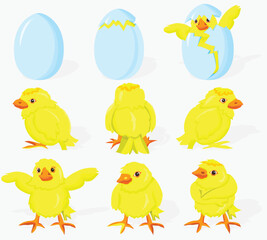 set of easter chicks