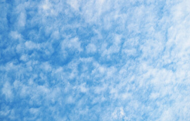 Obraz premium Whispers of Light, Altocumulus Dreams in a Cerulean Sky