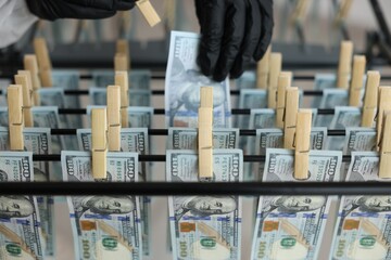 Money laundering. Woman hanging banknotes on drying rack indoors, closeup