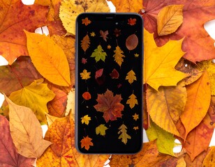 Smartphone display featuring floating autumn leaves set against a background of various colored leaves