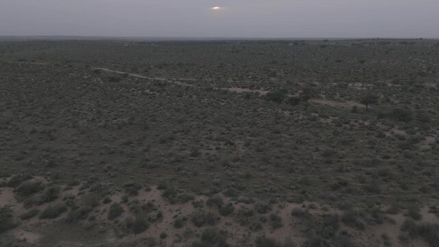 Aerial view of Khuri Sand Dunes near Jaisalmer, Rajasthan, with the sun setting behind a cloudy sky, revealing golden dunes merging with green desert vegetation like Khejri, Rohida, and Babool trees