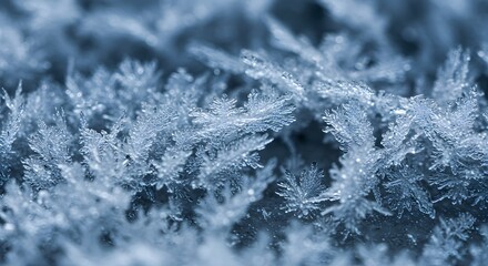 Closeup of delicate bluetoned frost crystals forming intricate dendritic patterns across a textured surface