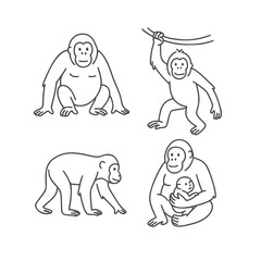 Outline illustrations of monkeys in various poses on a white background
