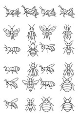 Collection of outline insect icons displayed in rows, featuring grasshoppers, 