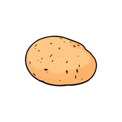Potato  on white Background , a tasty and healthy breakfast snack