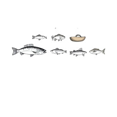 Vector illustration of a silhouette of a fish, bird, and marine animal designs