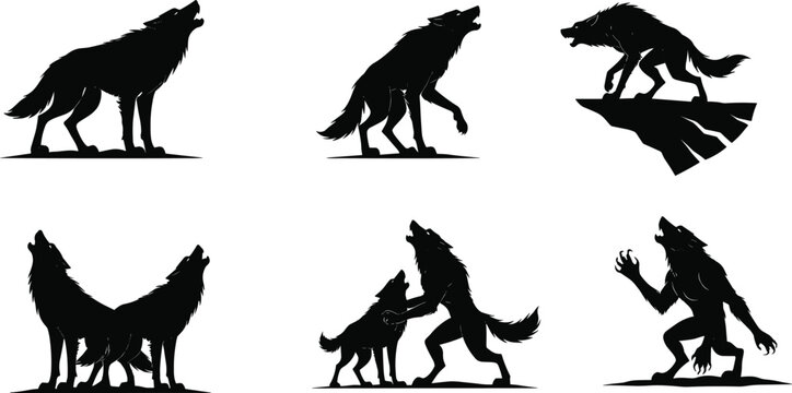 Wolf silhouettes, howling wolves, animal interaction, wild nature, rocky cliff, aggressive stance, forest wildlife, vector design, predator behavior, isolated background
